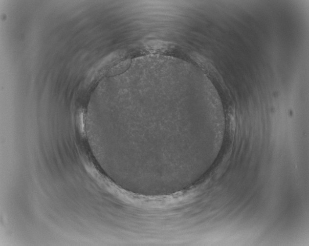 X0000053140042200508012255