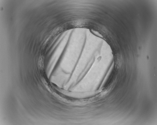 X0000053140044200508012255