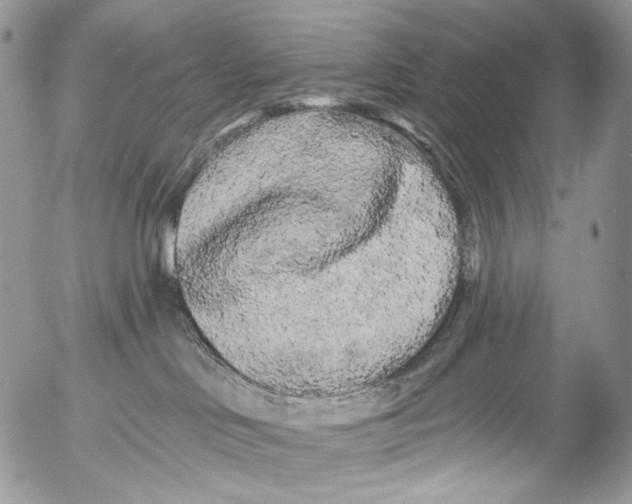 X0000053140046200508012255