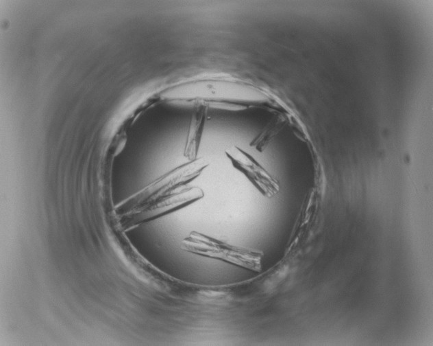 X0000053140055200508012254