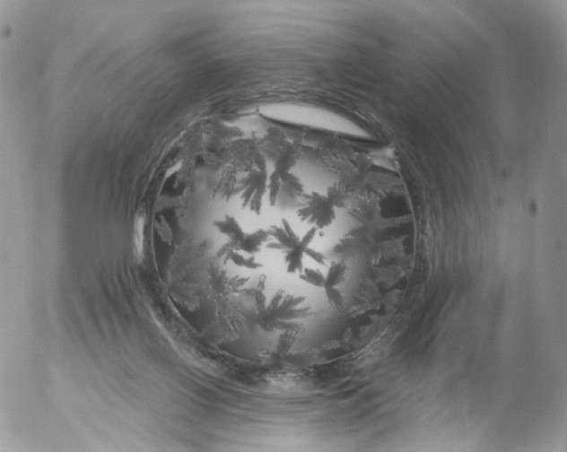 X0000053140070200508012254