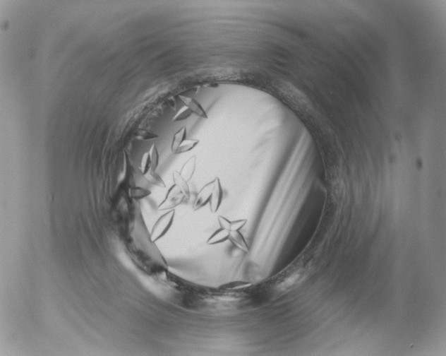 X0000053140072200508012255