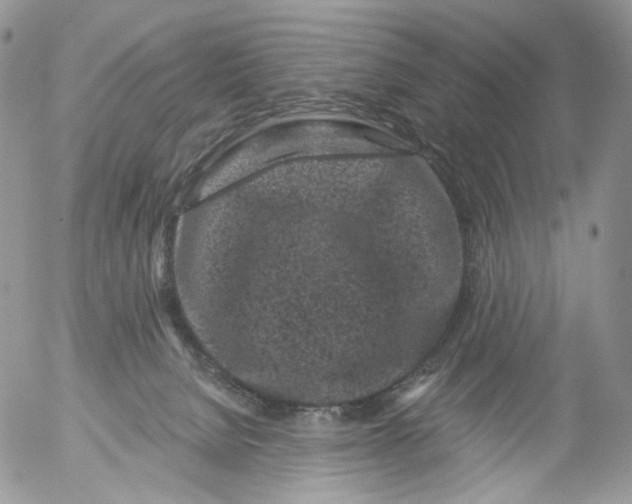 X0000053140080200508012255