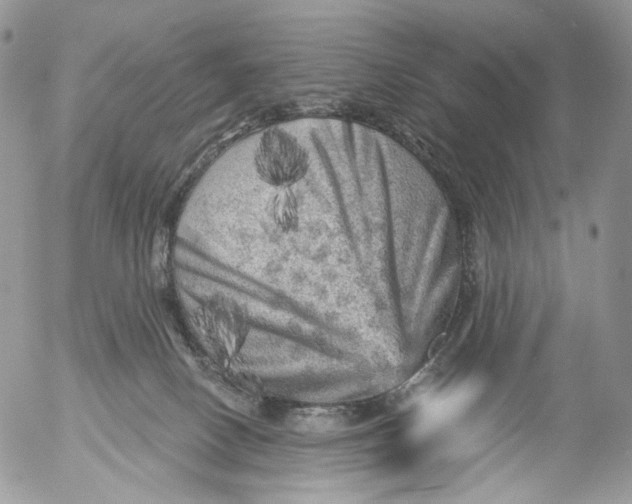 X0000053140082200508012255