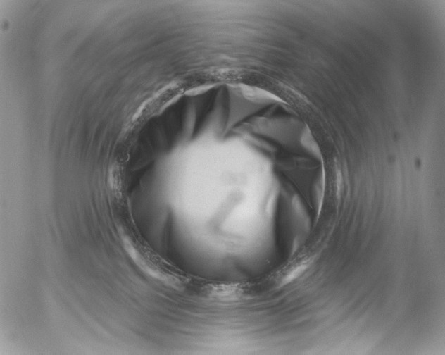 X0000053140088200508012255