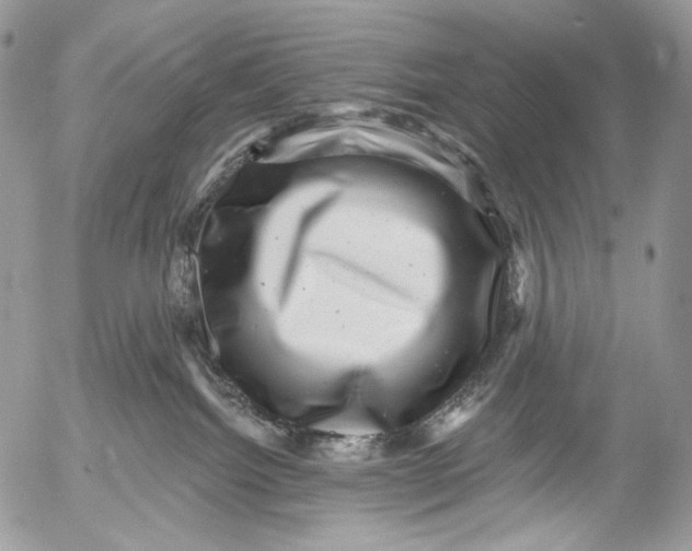 X0000053140092200508012255