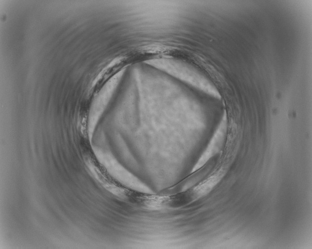 X0000053140096200508012255