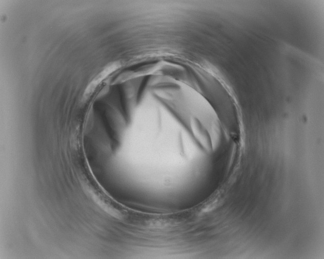 X0000053140105200508012254
