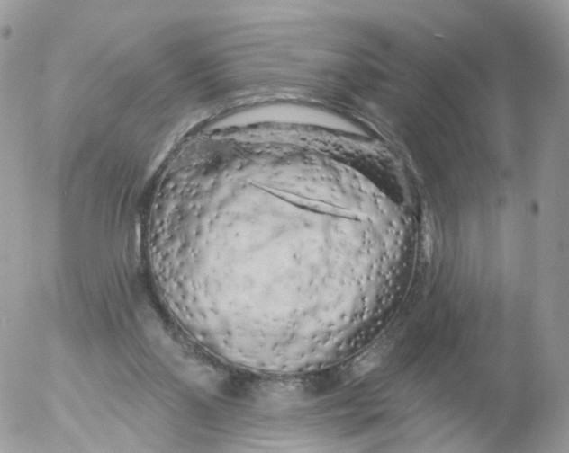 X0000053140110200508012254