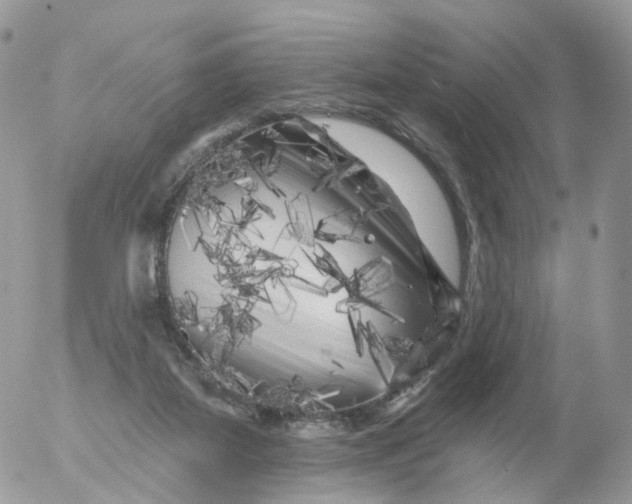 X0000053140115200508012254