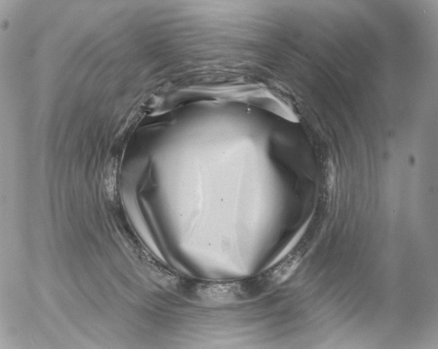 X0000053140129200508012254