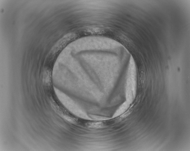 X0000053140132200508012254