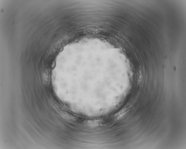 X0000053140134200508012253