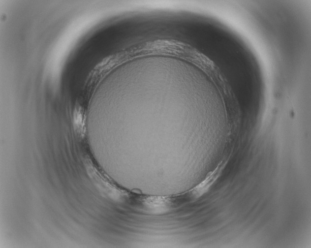 X0000053140142200508012253