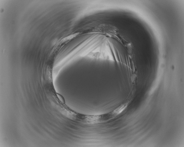 X0000053140143200508012253