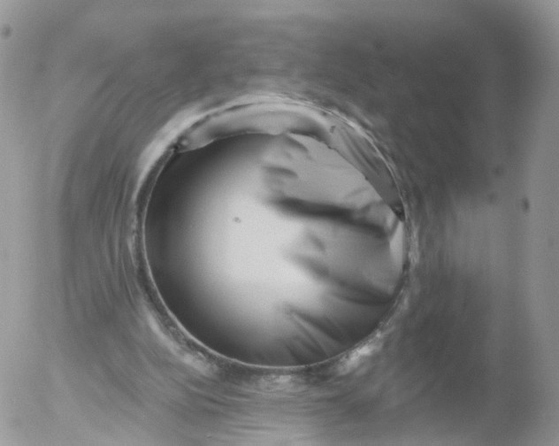 X0000053140152200508012252