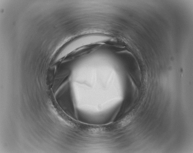X0000053140160200508012253