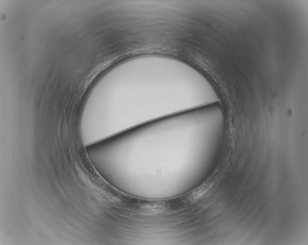 X0000053140164200508012253