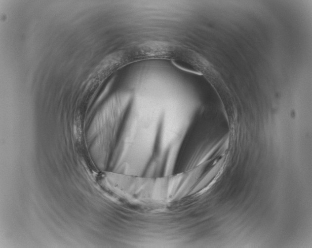 X0000053140170200508012253