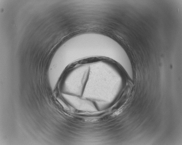 X0000053140172200508012253