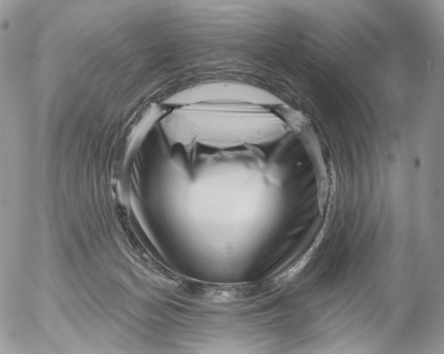 X0000053140174200508012253