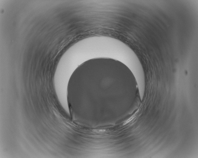 X0000053140176200508012253