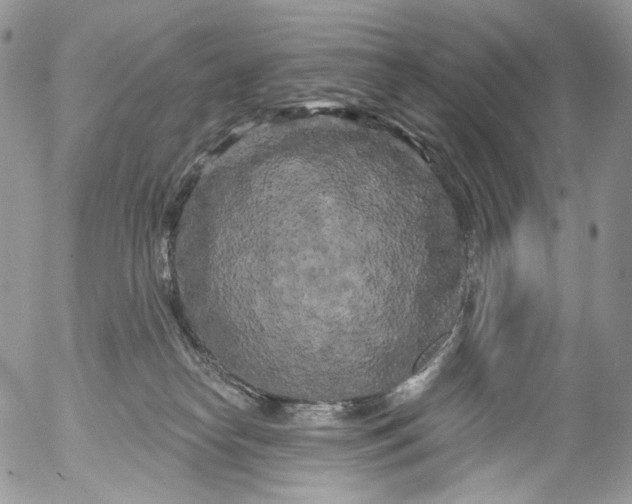 X0000053140182200508012253