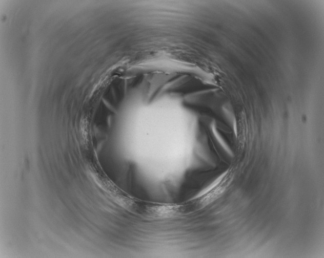 X0000053140184200508012253
