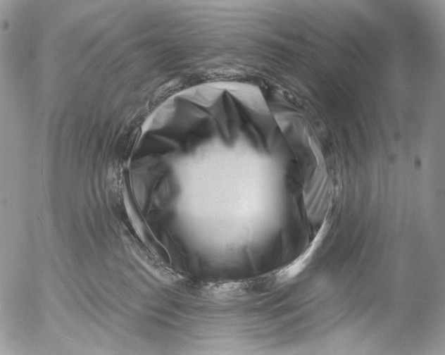 X0000053140186200508012253