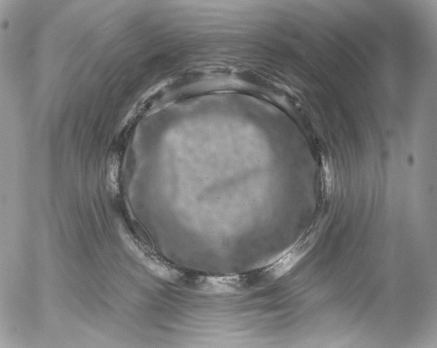X0000053140188200508012253