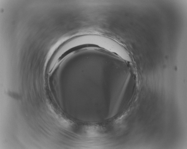 X0000053140200200508012252
