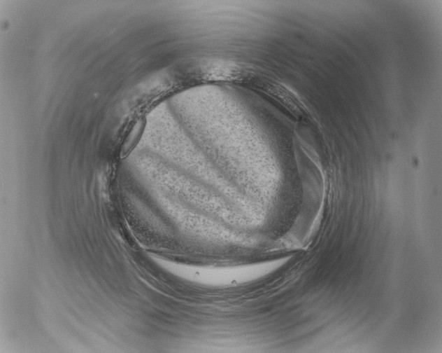 X0000053140217200508012252