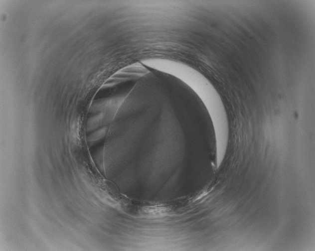 X0000053140219200508012252