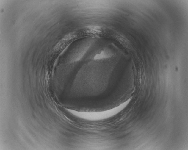 X0000053140223200508012252