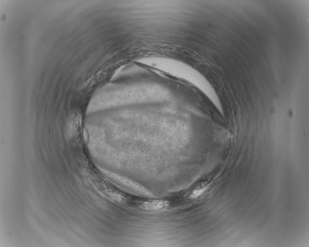 X0000053140225200508012252