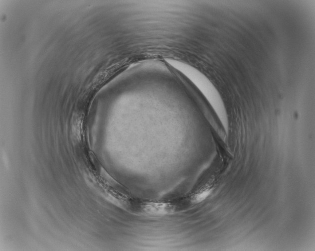 X0000053140227200508012252