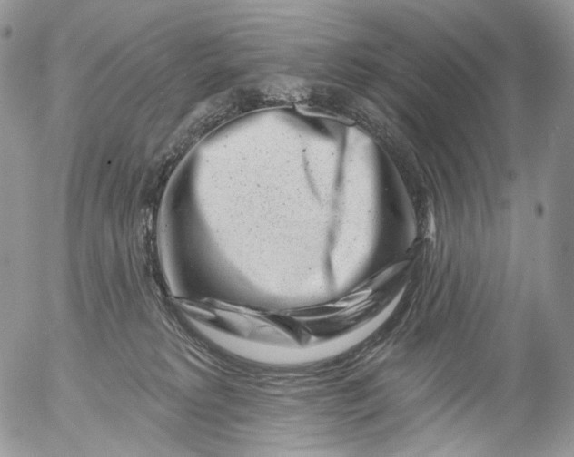 X0000053140229200508012252