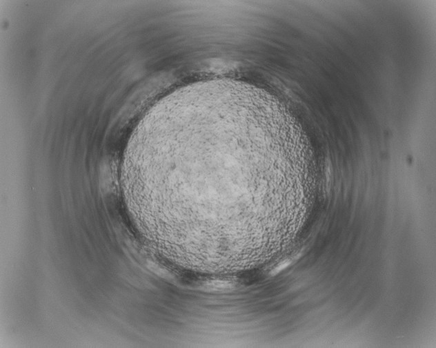 X0000053140236200508012252