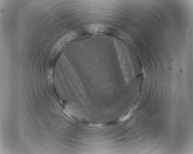 X0000053140239200508012252