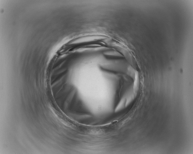 X0000053140248200508012251