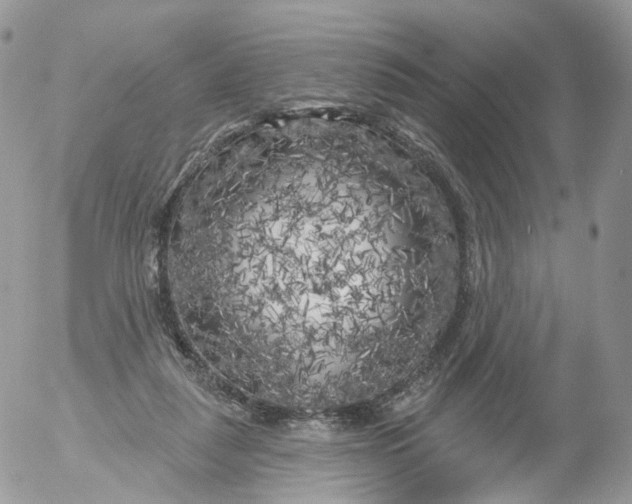 X0000053140259200508012251