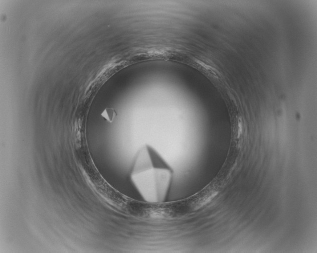 X0000053140264200508012251