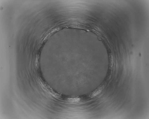 X0000053140266200508012251