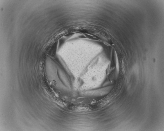 X0000053140270200508012251