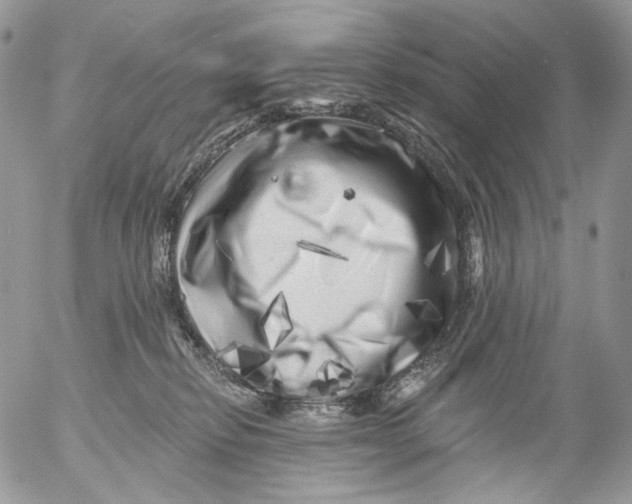 X0000053140278200508012251