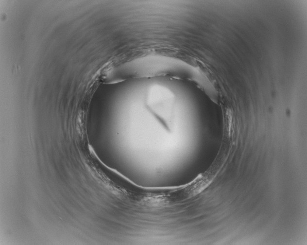 X0000053140280200508012251