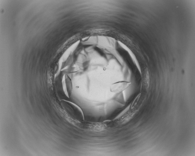 X0000053140282200508012251