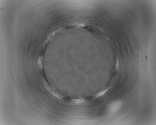 X0000053140286200508012251