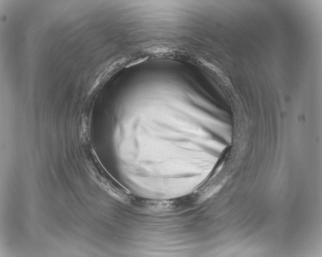 X0000053140288200508012251