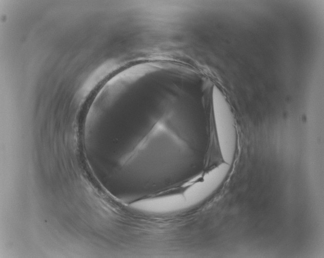 X0000053140295200508012251